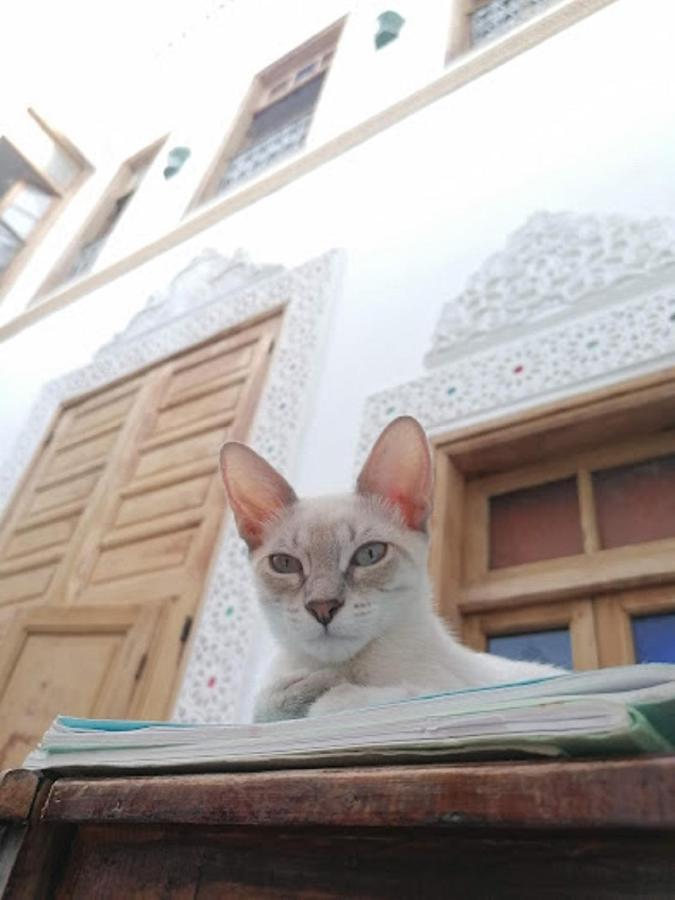 Sendis Dar Fez Exterior foto